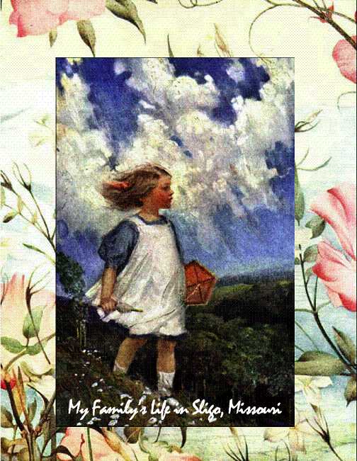 cover photo for My Family's Life in Sligo, Missouri flowers with inset image of small girl with kite